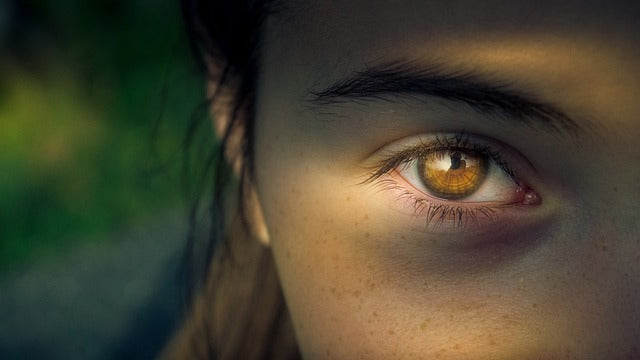 Do Glasses Improve Vision? The Truth About Eye Health