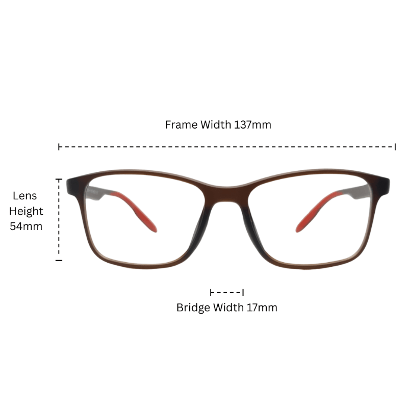 Elvory eyeglasses by AVENN size chart
