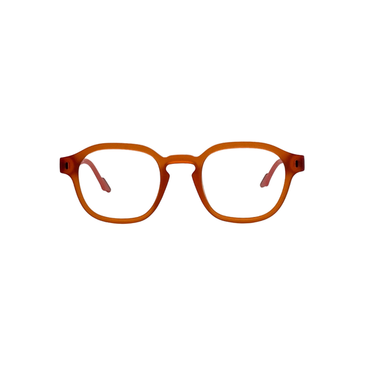 AVENN VESTAL style, a chic and lively addition to your eyewear collection